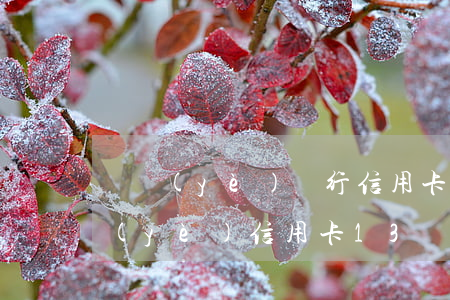 興業(yè)銀行信用卡逾期十多天了(興業(yè)信用卡13萬逾期)