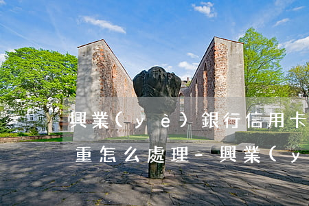 興業(yè)銀行信用卡逾期嚴(yán)重怎么處理-興業(yè)銀行信用卡逾期嚴(yán)重怎么處理的