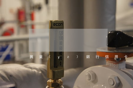 興業(yè)銀行信用卡逾期四萬