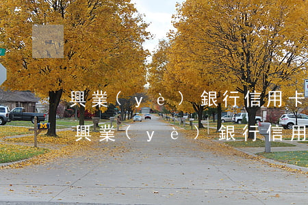 興業(yè)銀行 信用卡逾期多久上征信-興業(yè)銀行信用卡逾期多久上征信記錄