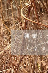 興業(yè)銀行信用卡逾期多久催收(興業(yè)銀行逾期催收打電話來讓我今天必須還款)