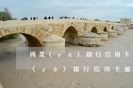興業(yè)銀行信用卡逾期多久抓人(興業(yè)銀行信用卡逾期多久抓人)