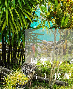 興業(yè)銀行信用卡逾期多久會(huì)找配偶-興業(yè)銀行信用卡逾期多久會(huì)找配偶還款