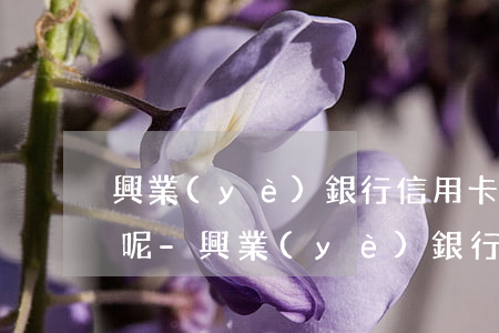興業(yè)銀行信用卡逾期多久會被起訴呢-興業(yè)銀行信用卡逾期多久會被起訴呢怎么辦