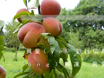 興業(yè)銀行信用卡逾期多久自動(dòng)解凍-興業(yè)銀行信用卡逾期多久自動(dòng)解凍了