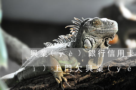 興業(yè)銀行信用卡逾期多少會(huì)上門 欠興業(yè)信用卡六千塊逾期三個(gè)月會(huì)上門嗎