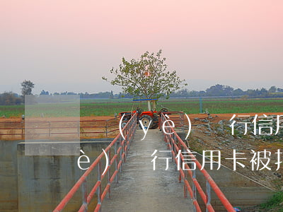 興業(yè)銀行信用卡逾期居留(興業(yè)銀行信用卡被拒原因)