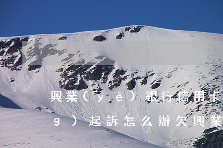 興業(yè)銀行信用卡逾期已經(jīng)起訴怎么辦(欠興業(yè)銀行信用卡4萬(wàn)逾期了會(huì)被報(bào)案坐牢嗎)