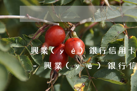興業(yè)銀行信用卡逾期忽然不用還款-興業(yè)銀行信用卡逾期忽然不用還款了