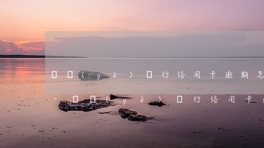 興業(yè)銀行信用卡逾期怎么查詢本金-興業(yè)銀行信用卡逾期怎么查詢本金還款