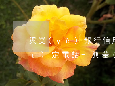 興業(yè)銀行信用卡逾期最新規(guī)定電話-興業(yè)銀行信用卡逾期最新規(guī)定電話是多少