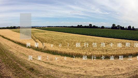 興業(yè)銀行信用卡逾期沒有全額還款(興業(yè)銀行卡逾期三個(gè)月可以繼續(xù)還最低還款嗎)