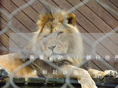 興業(yè)銀行信用卡逾期法務(wù)通知起訴(拖欠興業(yè)銀行信用卡8500現(xiàn)在被起訴了該怎么辦)