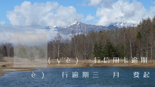 興業(yè)銀行信用卡逾期經偵(興業(yè)銀行逾期三個月說要起訴我,然后凍結卡片)