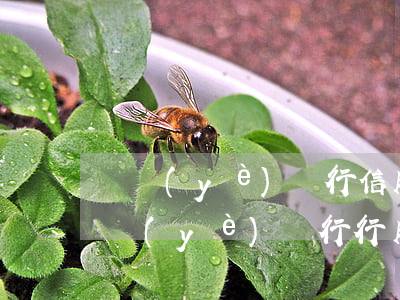 興業(yè)銀行信用卡逾期要求去銀行(興業(yè)銀行行用卡逾期讓去簽違約合同怎么辦)