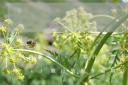 興業(yè)銀行信用卡逾期訴訟(興業(yè)銀行信用卡逾期訴訟時效)