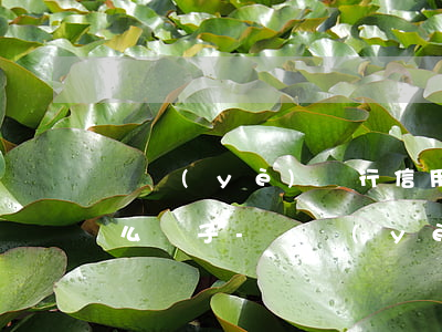 興業(yè)銀行信用卡逾期起訴前會是什么樣子-興業(yè)銀行逾期兩個月說已經(jīng)起訴了怎么辦