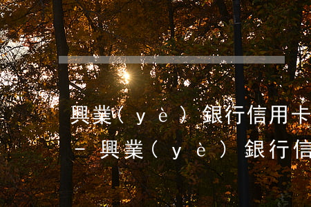 興業(yè)銀行信用卡逾期還本金怎么還-興業(yè)銀行信用卡逾期還本金怎么還不了