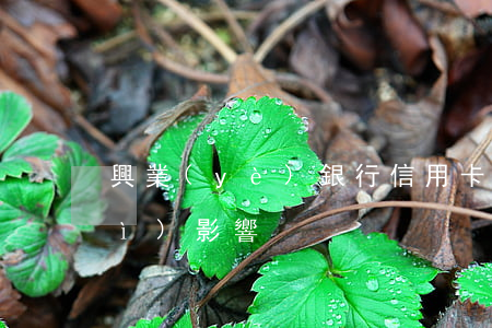 興業(yè)銀行信用卡逾期還款會(huì)影響