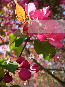 興業(yè)銀行信用卡逾期還清后解凍 興業(yè)銀行逾期一個月了還了之后還能用嗎