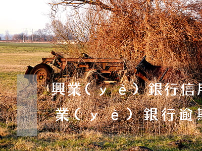 興業(yè)銀行信用卡逾期還能解凍嗎(興業(yè)銀行逾期三個(gè)月了被起訴了怎么辦)