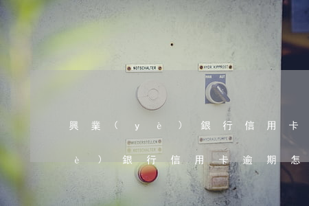 興業(yè)銀行信用卡逾期降額(興業(yè)銀行信用卡逾期怎么協(xié)商減免違約金)