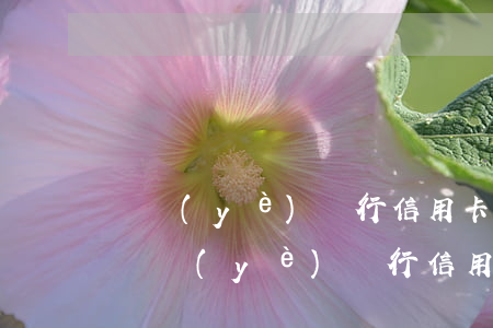 興業(yè)銀行信用卡逾期顯示滿額度-興業(yè)銀行信用卡逾期顯示滿額度是多少