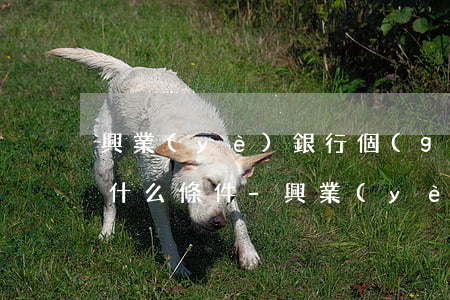興業(yè)銀行個(gè)性化分期需要什么條件-興業(yè)銀行個(gè)性化分期需要什么條件呢