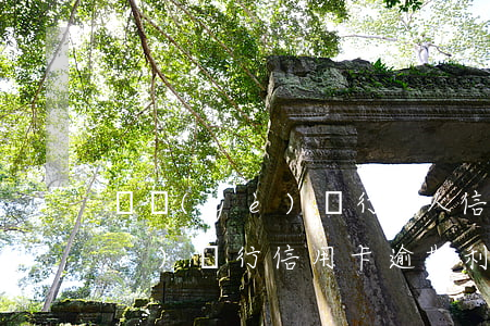 興業(yè)銀行個人信用卡逾期(興業(yè)銀行信用卡逾期利息太高)