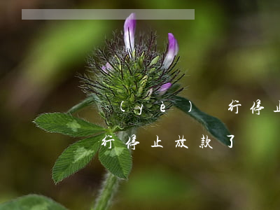 興業(yè)銀行停止放款-興業(yè)銀行停止放款了嗎