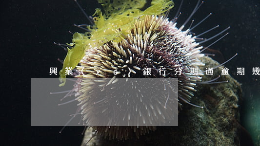 興業(yè)銀行分期通逾期幾天上征信-