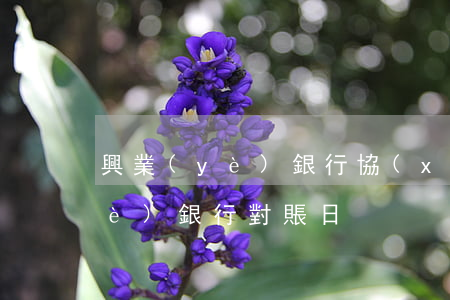 興業(yè)銀行協(xié)商（興業(yè)銀行對賬日）