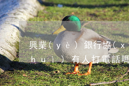 興業(yè)銀行協(xié)商還款會(huì)有人打電話嗎-興業(yè)銀行協(xié)商還款會(huì)有人打電話嗎是真的嗎