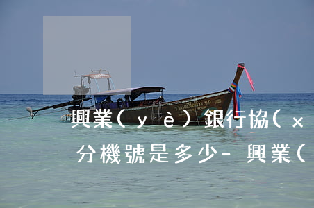 興業(yè)銀行協(xié)商還款電話分機號是多少-興業(yè)銀行協(xié)商還款打哪個電話