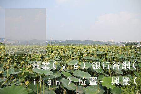 興業(yè)銀行各網(wǎng)點(diǎn)位置-興業(yè)銀行各網(wǎng)點(diǎn)位置圖