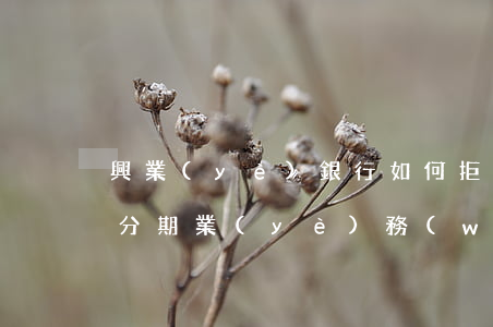 興業(yè)銀行如何拒絕個(gè)性化分期業(yè)務(wù)-興業(yè)銀行如何拒絕個(gè)性化分期業(yè)務(wù)申請