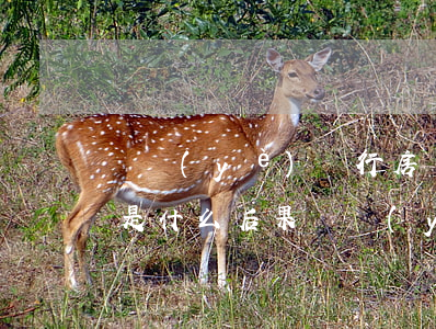 興業(yè)銀行房貸逾期幾個月了被起訴是什么后果（興業(yè)銀行逾期幾個月起訴）