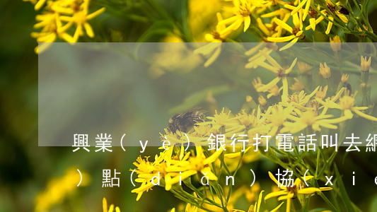 興業(yè)銀行打電話叫去網(wǎng)點(diǎn)協(xié)商還款-興業(yè)銀行打電話叫去網(wǎng)點(diǎn)協(xié)商還款是真的嗎