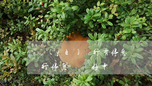 興業(yè)銀行有停息掛賬(興業(yè)銀行停息掛賬好申請嗎)