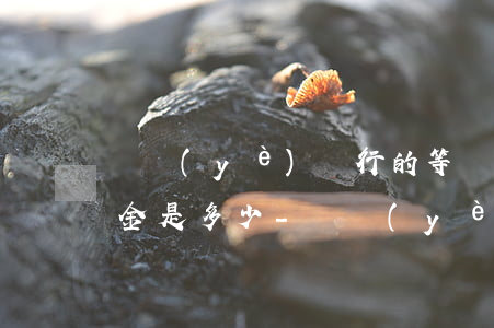 興業(yè)銀行的等額本息利息是多少本金是多少-興業(yè)銀行等額本息貸款
