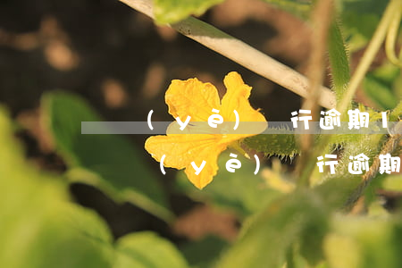 興業(yè)銀行逾期10天可以消費嗎-興業(yè)銀行逾期10天可以消費嗎