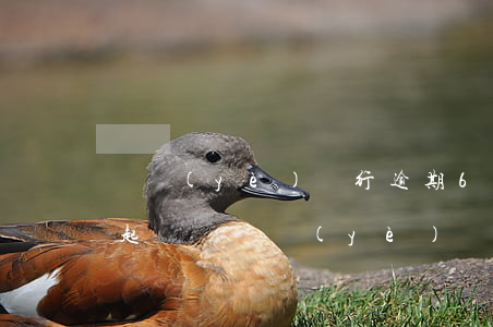 興業(yè)銀行逾期6個(gè)月會被起訴嗎（興業(yè)銀行逾期6個(gè)月會被起訴嗎）