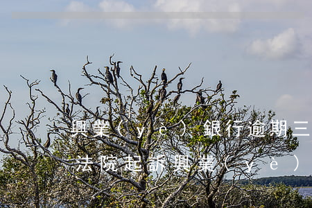 興業(yè)銀行逾期三個(gè)月要去法院起訴(興業(yè)銀行逾期了三個(gè)月后起訴了對(duì)生活有什么后果?)