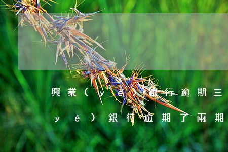 興業(yè)銀行逾期三萬法院起訴(興業(yè)銀行逾期了兩期了,銀行打電話說最近幾天起訴我了)