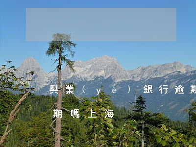 興業(yè)銀行逾期協(xié)商能延期嗎上海-