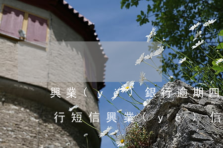 興業(yè)銀行逾期四天后還了還收到銀行短信（興業(yè)信用卡逾期短信通知號碼）