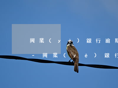 興業(yè)銀行逾期怎么手動還款信用卡-興業(yè)銀行逾期怎么手動還款信用卡還不了