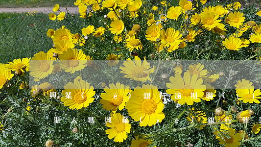 興業(yè)銀行逾期聯(lián)系家里人嗎 興業(yè)銀行催款不還要打電話給家人