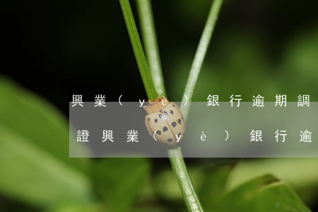 興業(yè)銀行逾期調(diào)查取證 興業(yè)銀行逾期3個(gè)月讓我去警局協(xié)助調(diào)查