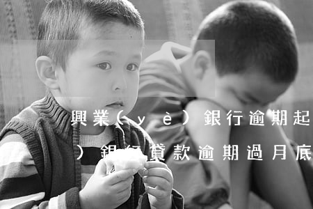 興業(yè)銀行逾期起訴后果(興業(yè)銀行貸款逾期過月底了會(huì)被法院起訴嗎)
